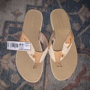 Sperry® Parrotfish!